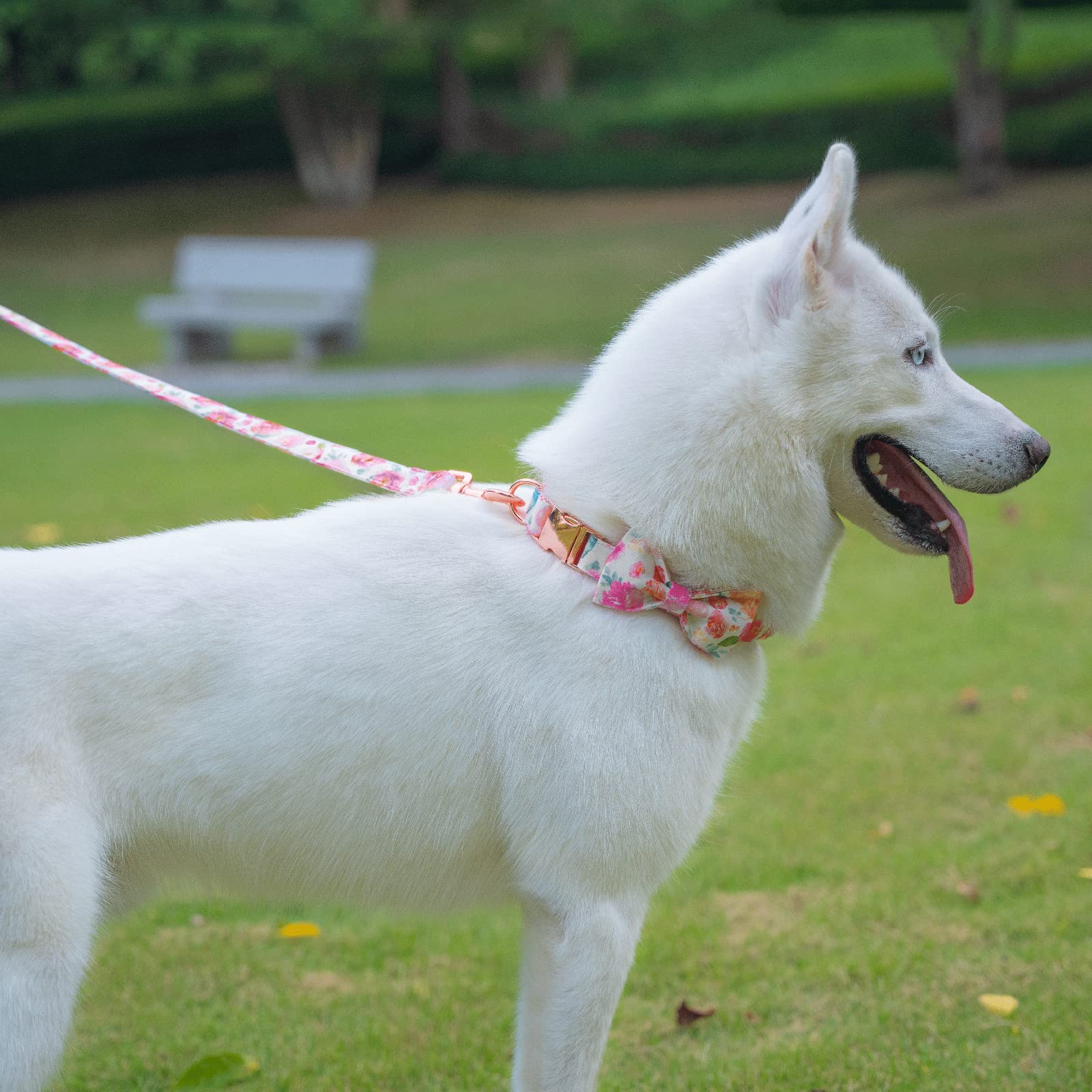 Tunkoo Dog Leash Floral With Soft Comfy Cotton Handle