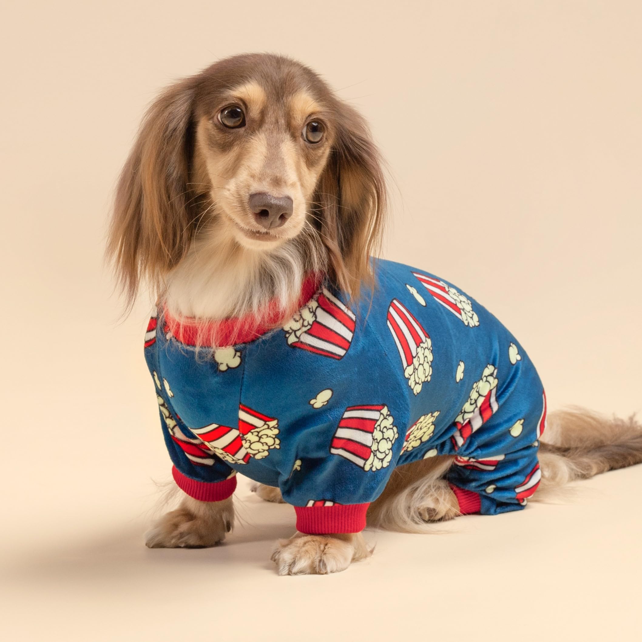 Fitwarm Popcorn Dog Pajamas, Funny Dog Clothes For Small Dogs Boy Girl, Fleece Pet Onesie With Feet, Blue, Red, White, Yellow, L