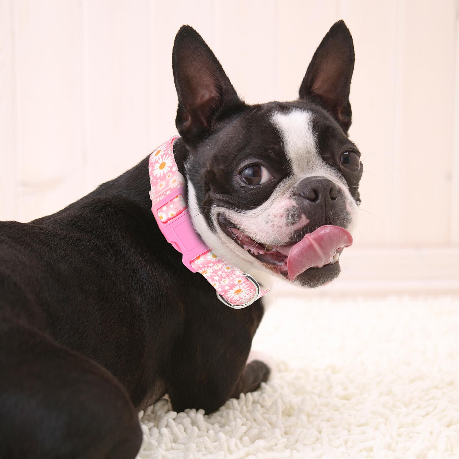 Girl Dog Collars For Medium Dogs,Female Dog Collars With Pink Daisy Flowers, Adjustable Comfy Soft Pet Collar With Safety Buckle