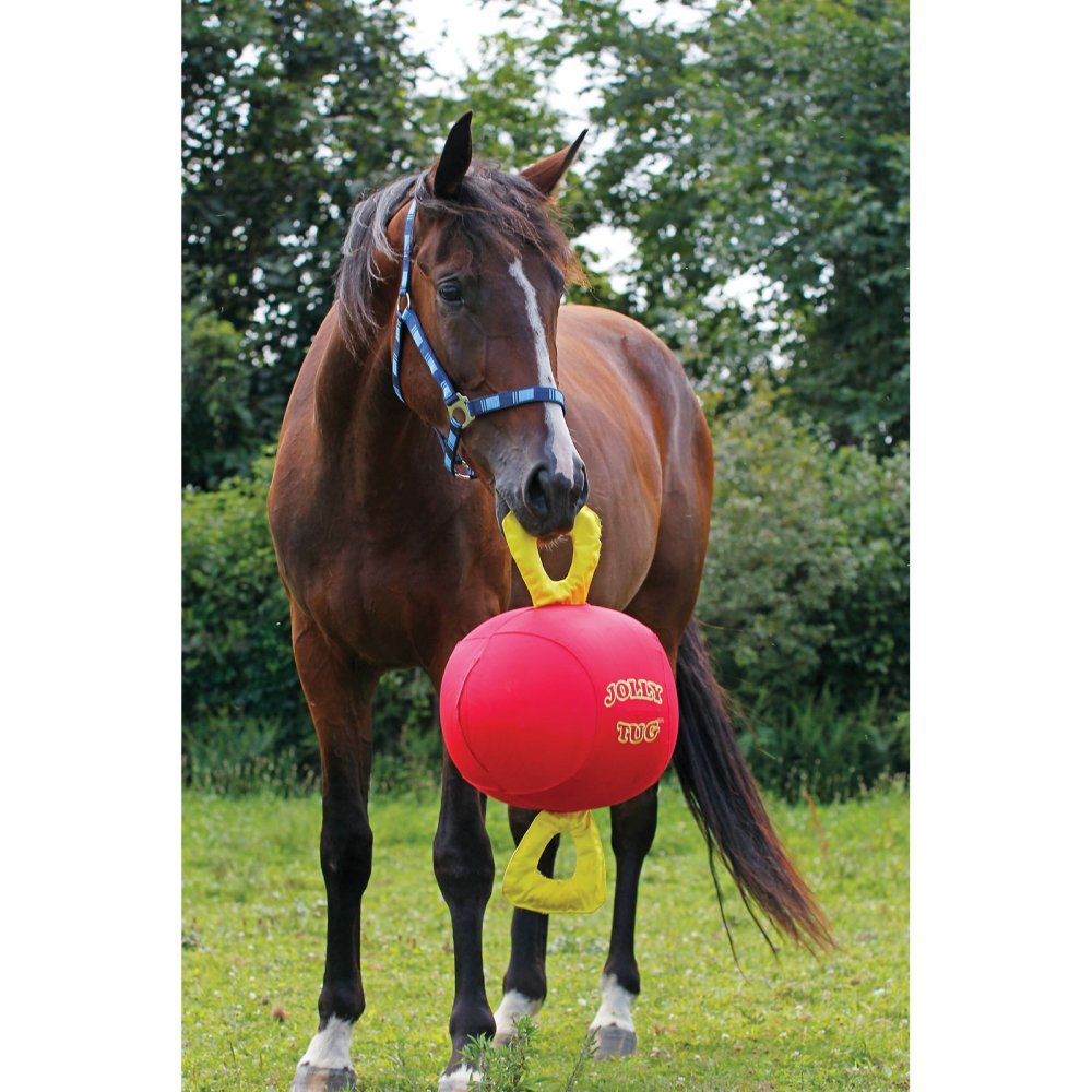 Horsemen'S Pride 14'' Jolly Tug Horse Toy, Blue (Jt14 B),All Breed Sizes