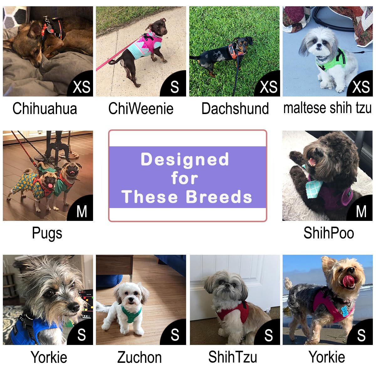 Comfort Fit All Weather Step-In Dog Harness - Adjustable Small Dog Harness Medium Sized Dogs - Soft Padded Easy Walk Dog Vest Harnesses