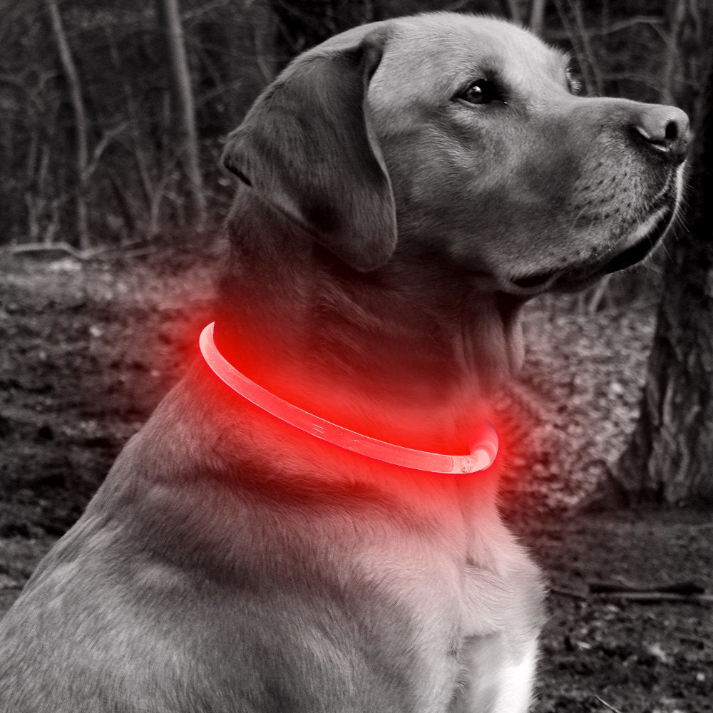 Bseen Light Up Dog Collars - Tpu Rechargeable Led Dog Collar, Glowing Puppy Collar, Flashing Dog Walking Lights For Small Medium Large Dogs (Red)