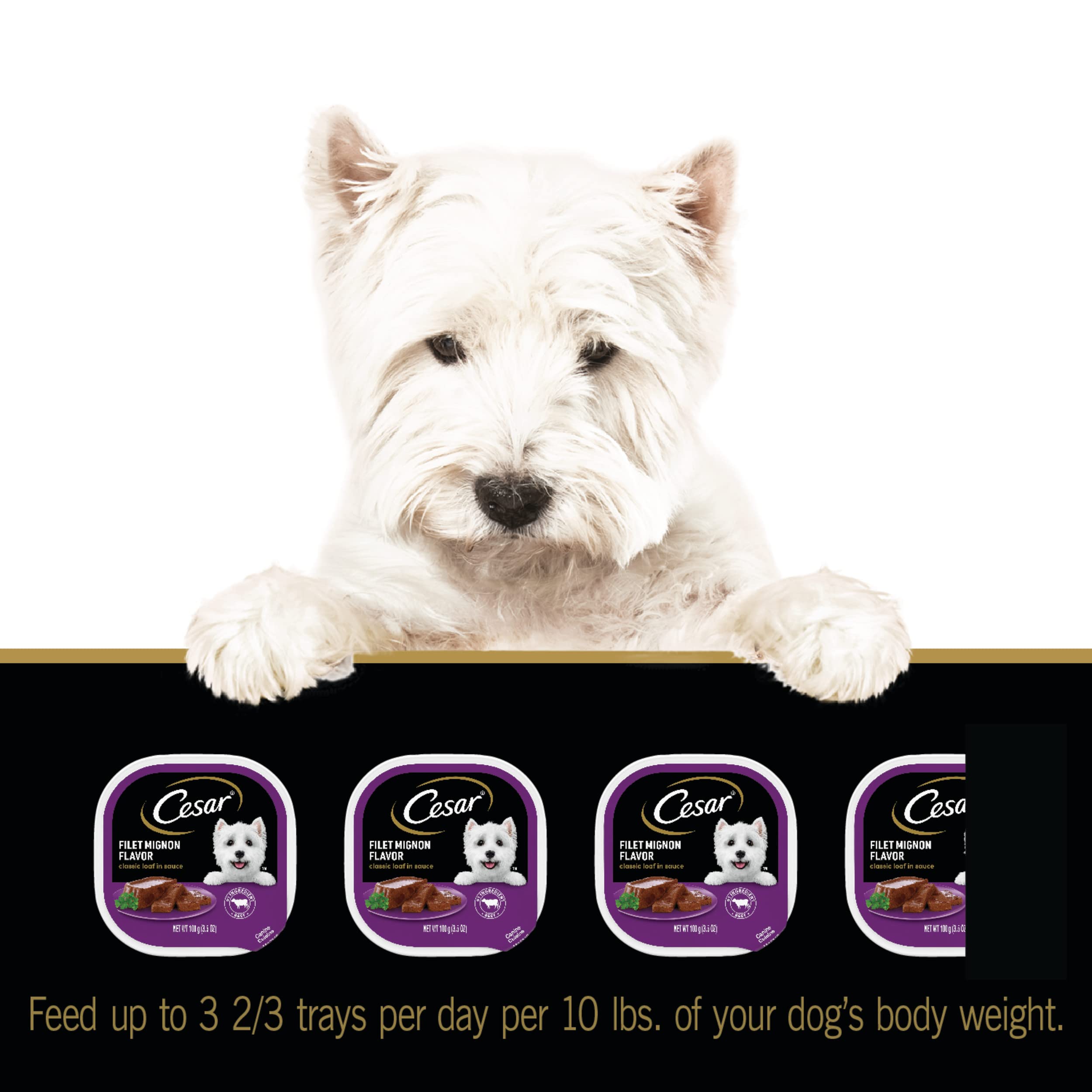 Cesar Wet Dog Food Classic Loaf in Sauce Filet Mignon Flavor, 3.5 oz. Easy Peel Trays (24 Count, Pack of 1)