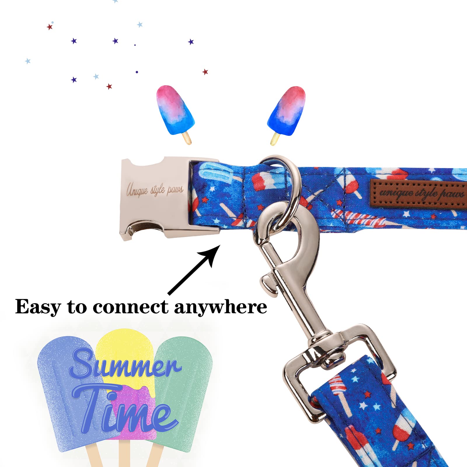 Unique Style Paws Independence Day Flag Dog Leash, Best For Small Medium Large Boys Girls Dogs