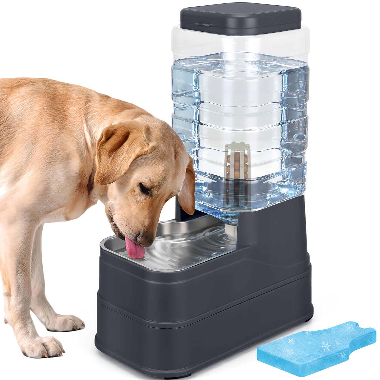 2.2 Gallon Pet Automatic Dog Water Dispenser Cat Gravity Waterer Feeder with Stainless Steel Bowl Large Capacity Puppy Feeding R