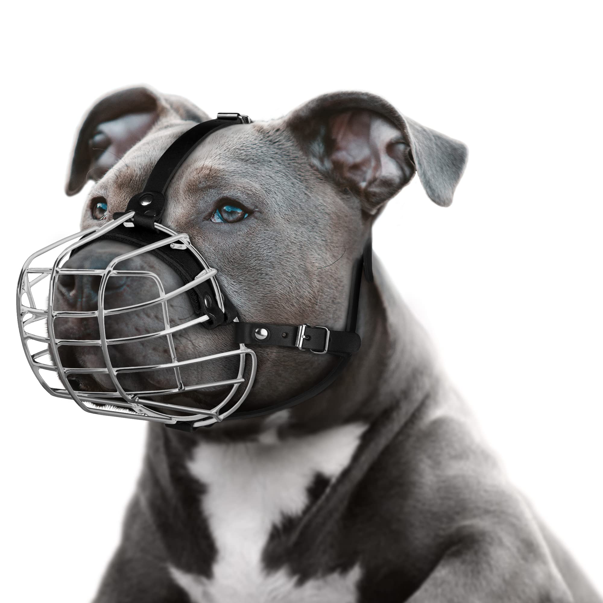 Pitbull Dog Muzzle Metal Mask Amstaff Secure Wire Basket Adjustable Durable Leather Straps For Large Dogs (Large, Steel)