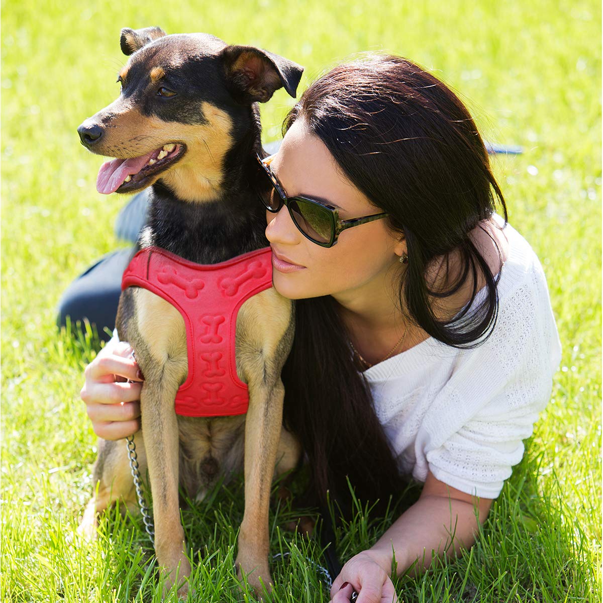 Metric Usa Comfort Fit Dog Harness Easy To Put-On Comfortable Adjustable Step In Soft Padded Dog Vest Harnesses For Small And Medium Dogs Under 30 Lbs, Red, S, Chest 16-18'