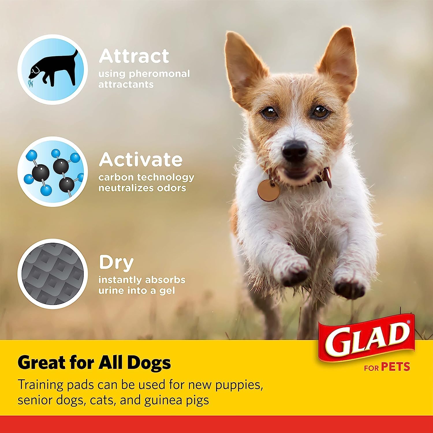 Glad for Pets Black Charcoal Dog Pads - Super Absorbent, Disposable Pee Pads for Puppy Potty Training & Indoor Use - 23 x 23 - 5