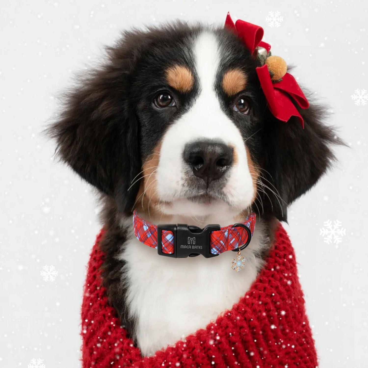Maca Bates Christmas Twill Tartan Red And Blue Plaid Dog Collar Blue Puppy Collars Durable Soft Adjustable Birthday Gift For Xs