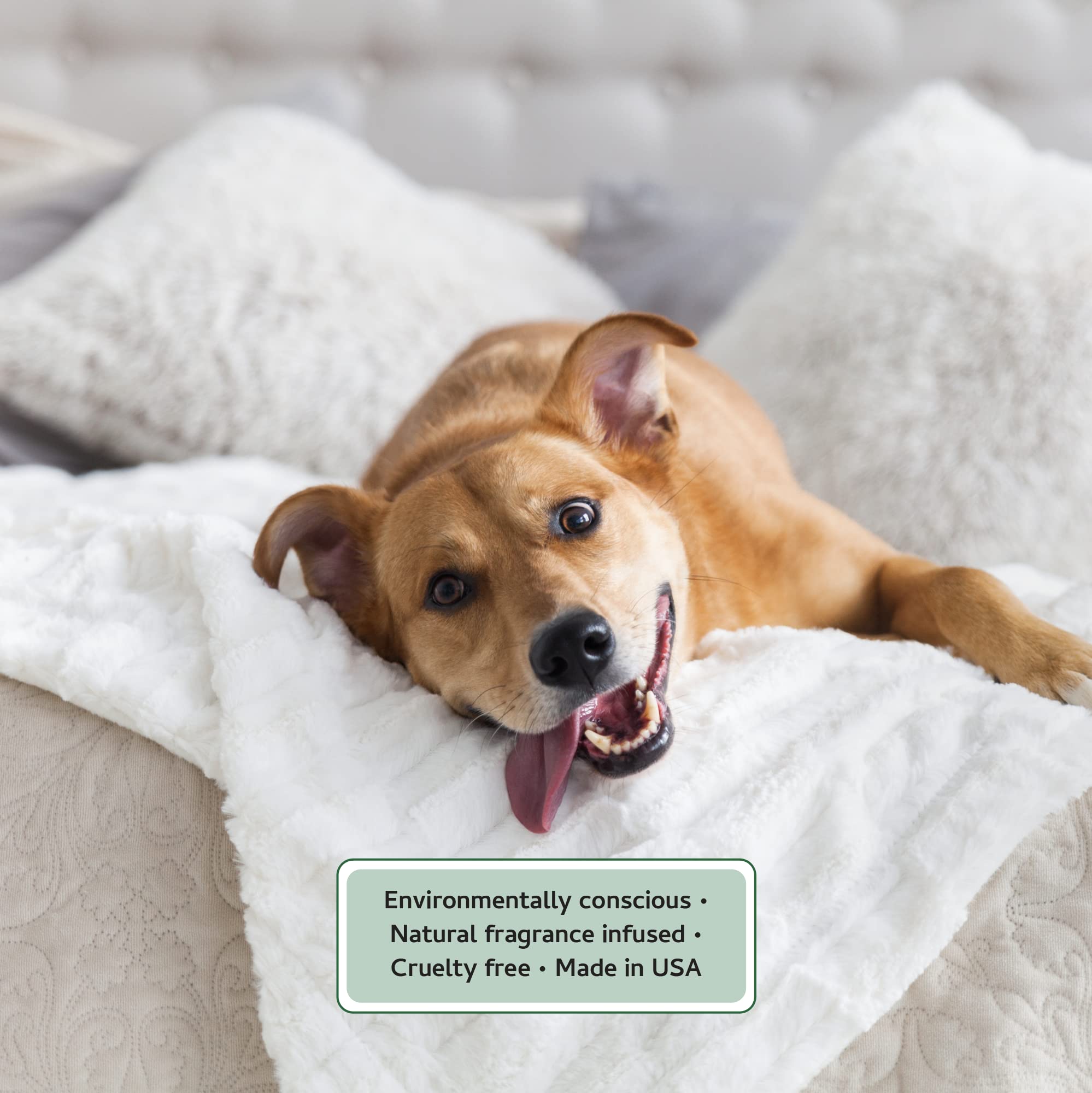 Begley’S Natural Pet Cologne And Deodorizer - Premium Essential Oil Scented Dog Body Spray And Cat Perfume - Dog Grooming Spray And Pet Odor Eliminator - Cat Cologne Mist, Dog Cologne Spray Long Lasting - 8 Oz, Baby Powder, 2 Pack