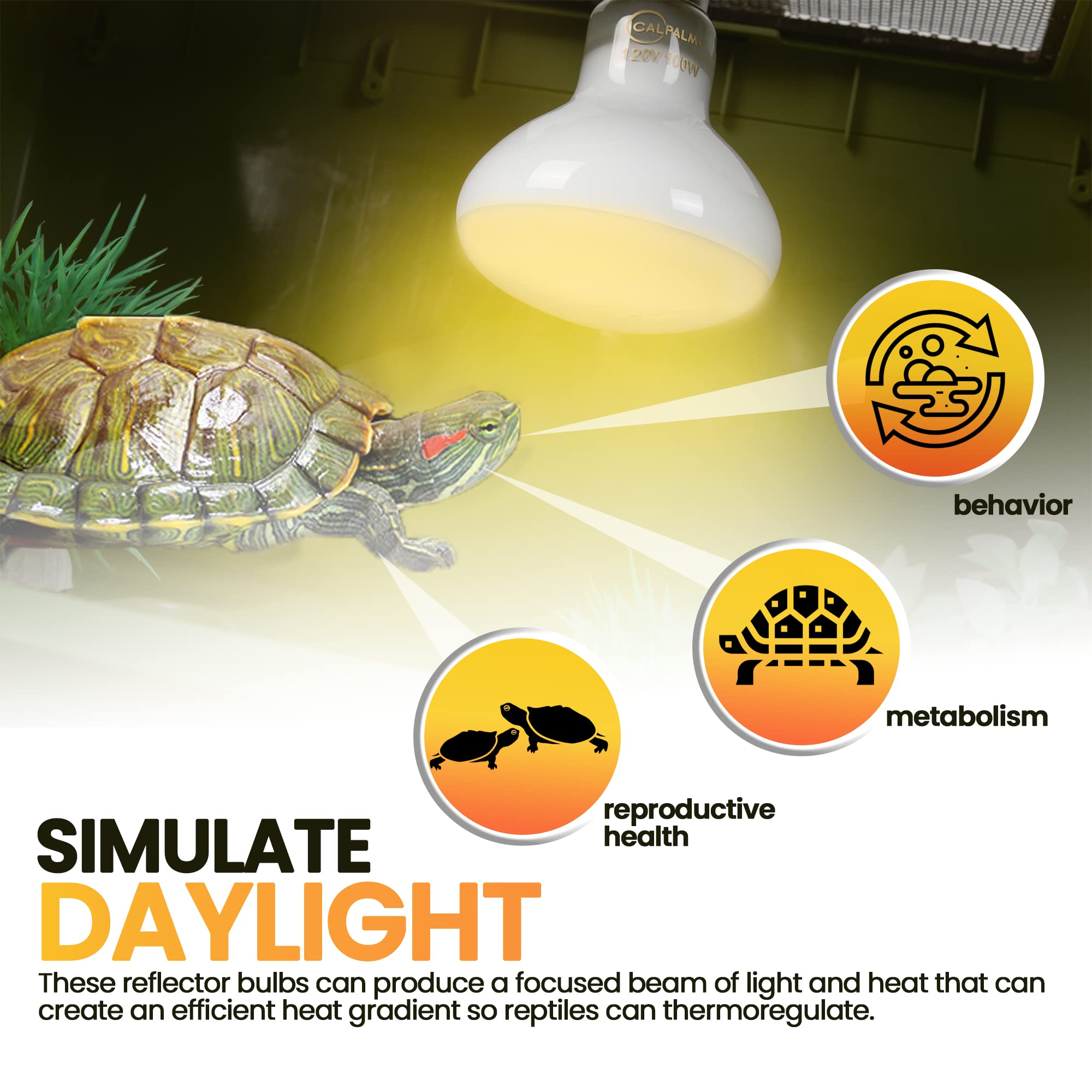 CALPALMY (4-Pack 100W Reptile Heat Lamp Bulbs - UVA Daylight Basking Light Bulbs for Reptiles, Turtles, Lizard, Bearded Dragon a