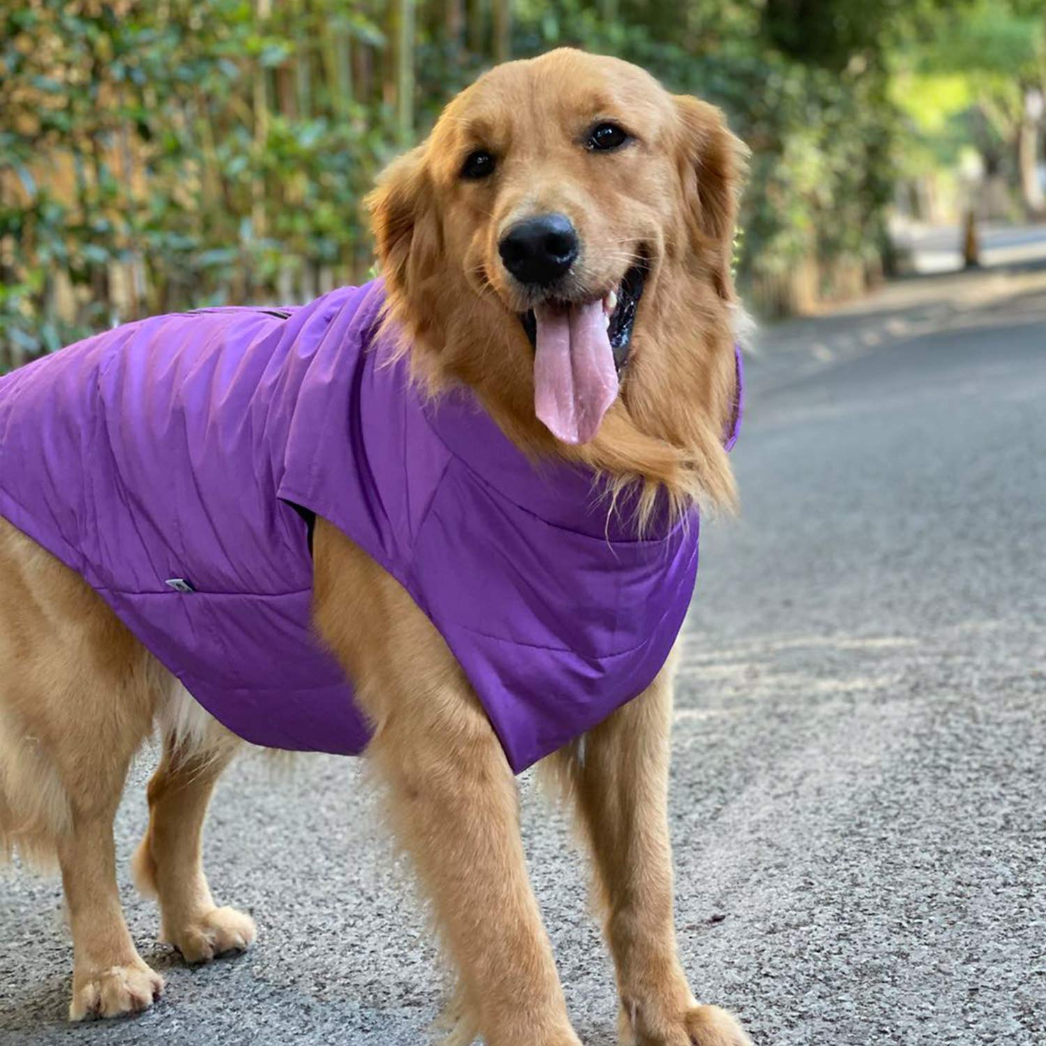 Lovelonglong Dog Winter Vest With Cotton Lining, Waterproof Ultra Warm Dog Winter Coat Windproof Zippered Jacket Breathable Soft
