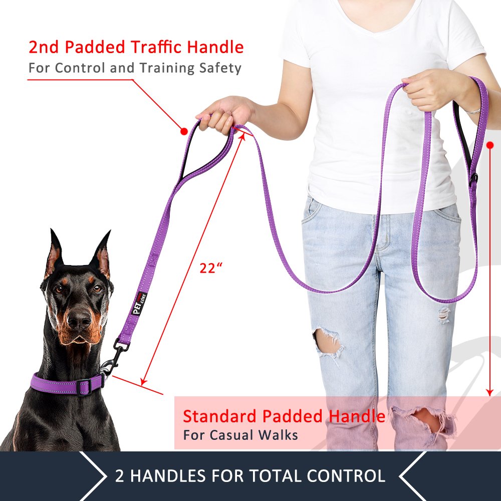 Plutus Pet Dog Leash 6ft Long, Traffic Padded Two Handle, Heavy Duty, Reflective Double Handles Lead for Control Safety Training