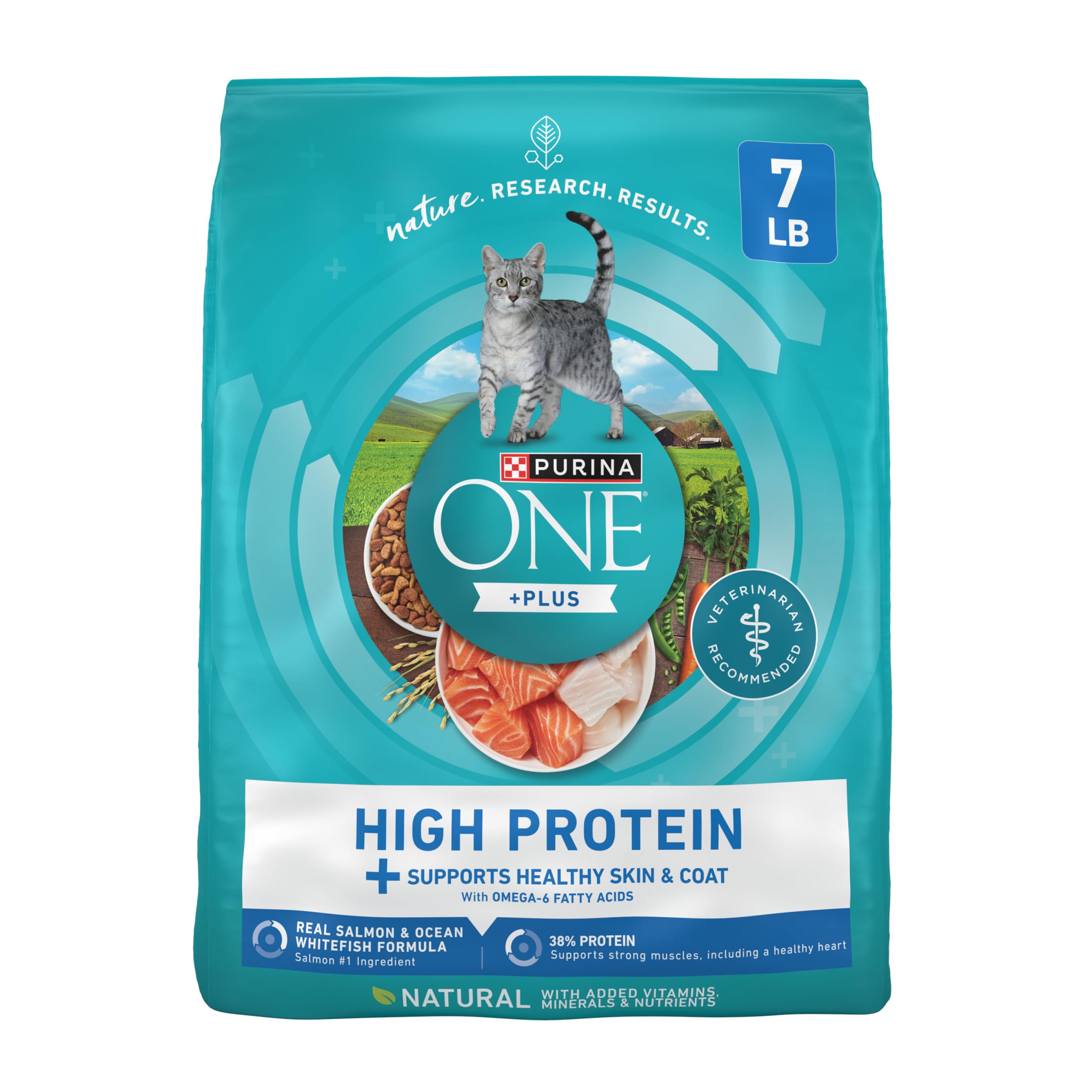 Purina ONE Plus High Protein Cat Food Dry Salmon and Ocean Whitefish Cat Skin and Coat Health Formula - 7 lb. Bag