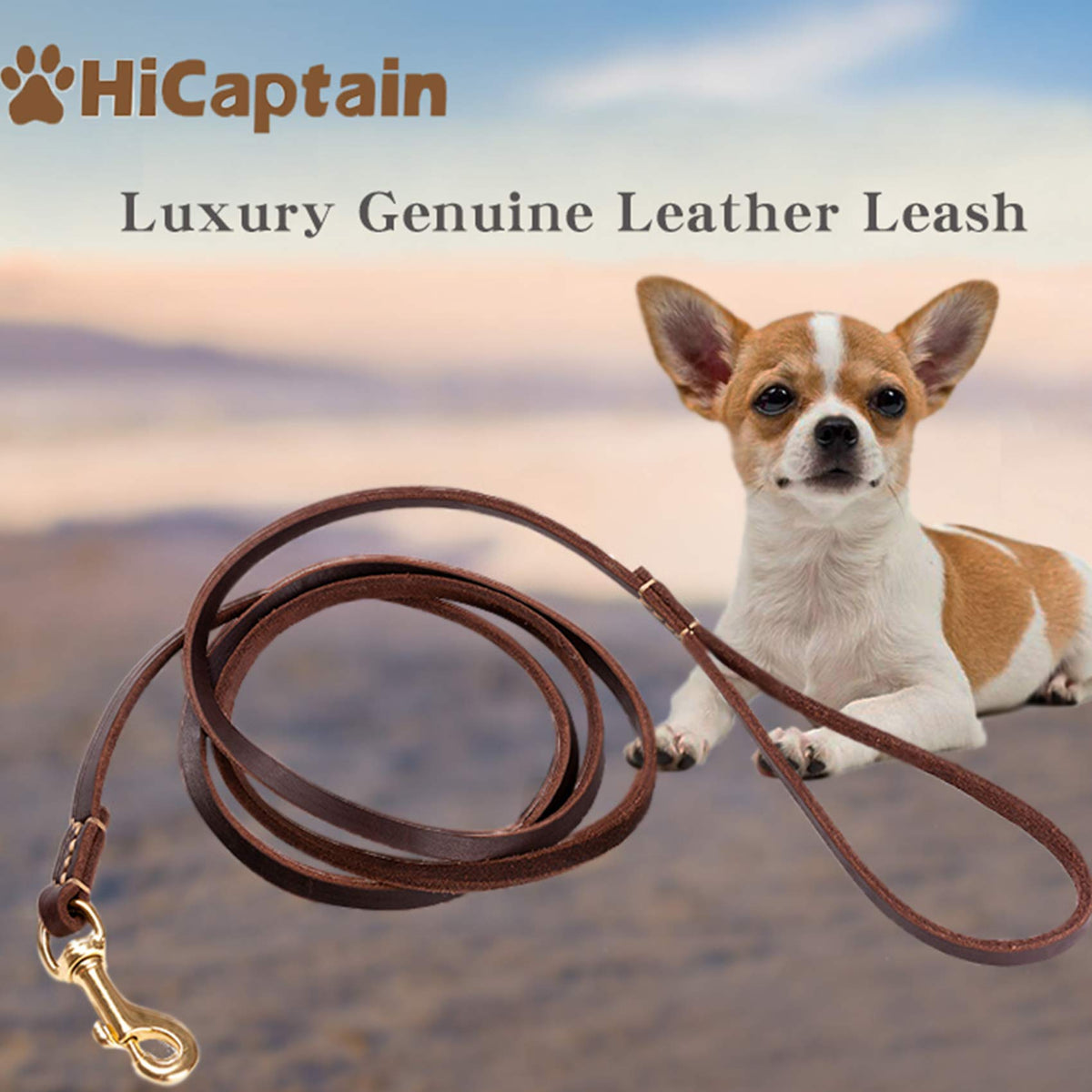 Hicaptain Thin Leather Dog Leash For Small Dogs Up To 15 Lb (1/3 Inch Wide, 6 Ft)