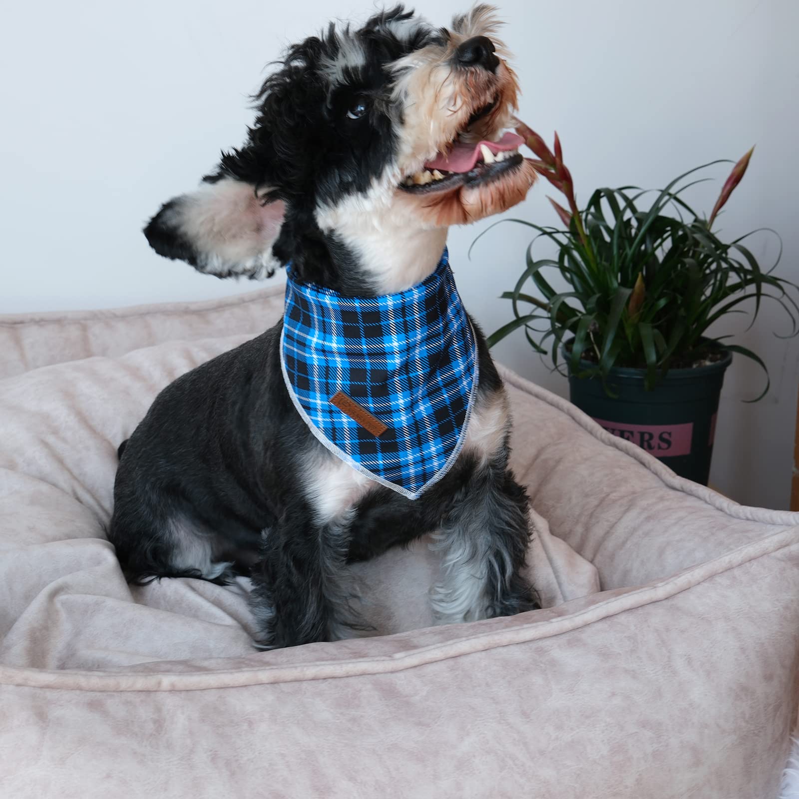 Christmas Dog Bandana, Up Urara Pup Blue Plaid Triangle Bid Scarf, Cotton Pet Kerchief For Girl Boy Dogs Or Cats, Blue Winter Do