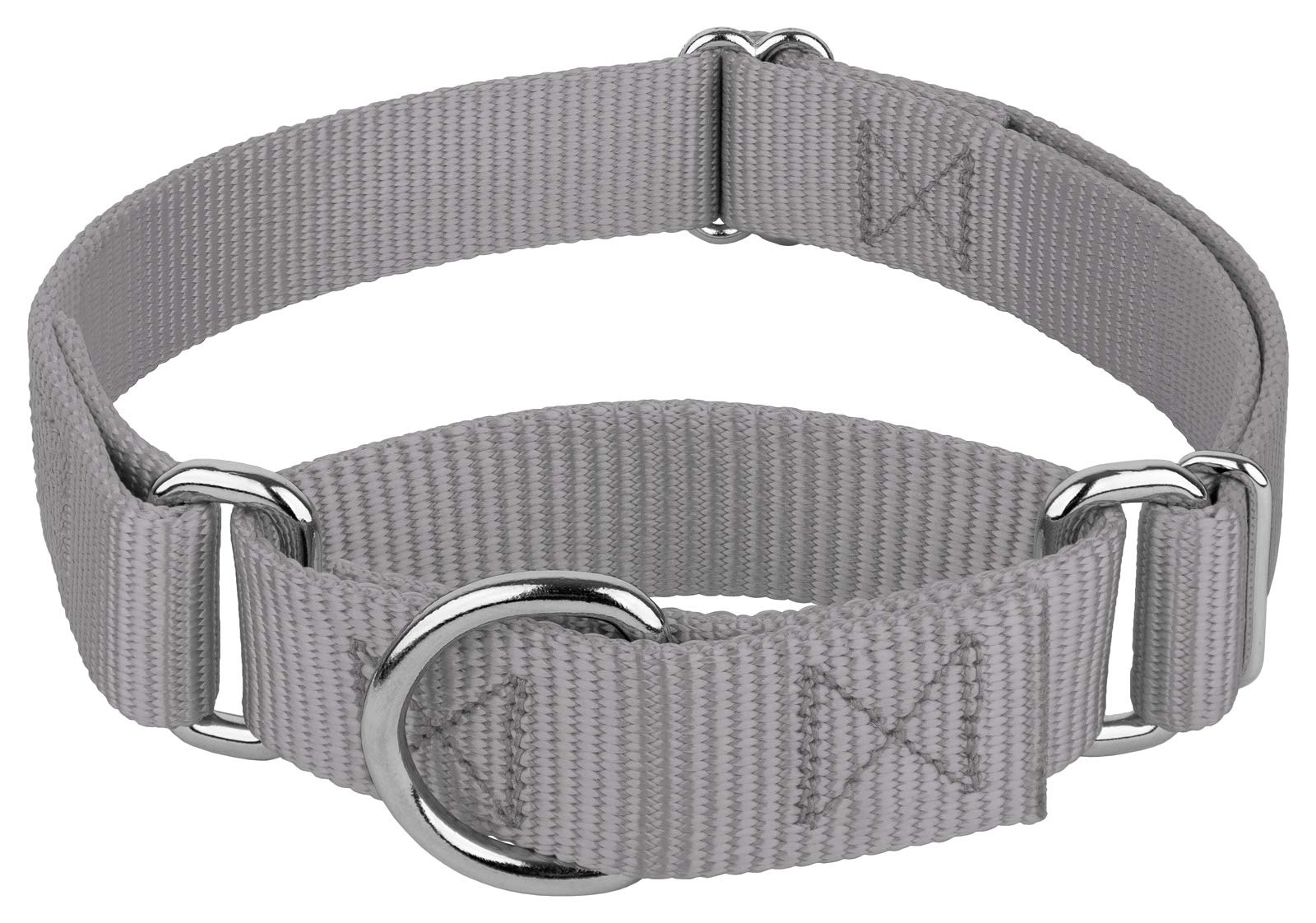 Country Brook Design - Silver Martingale Heavy Duty Nylon Dog Collar - 21 Vibrant Color Options (3/4 Inch Width, Small)