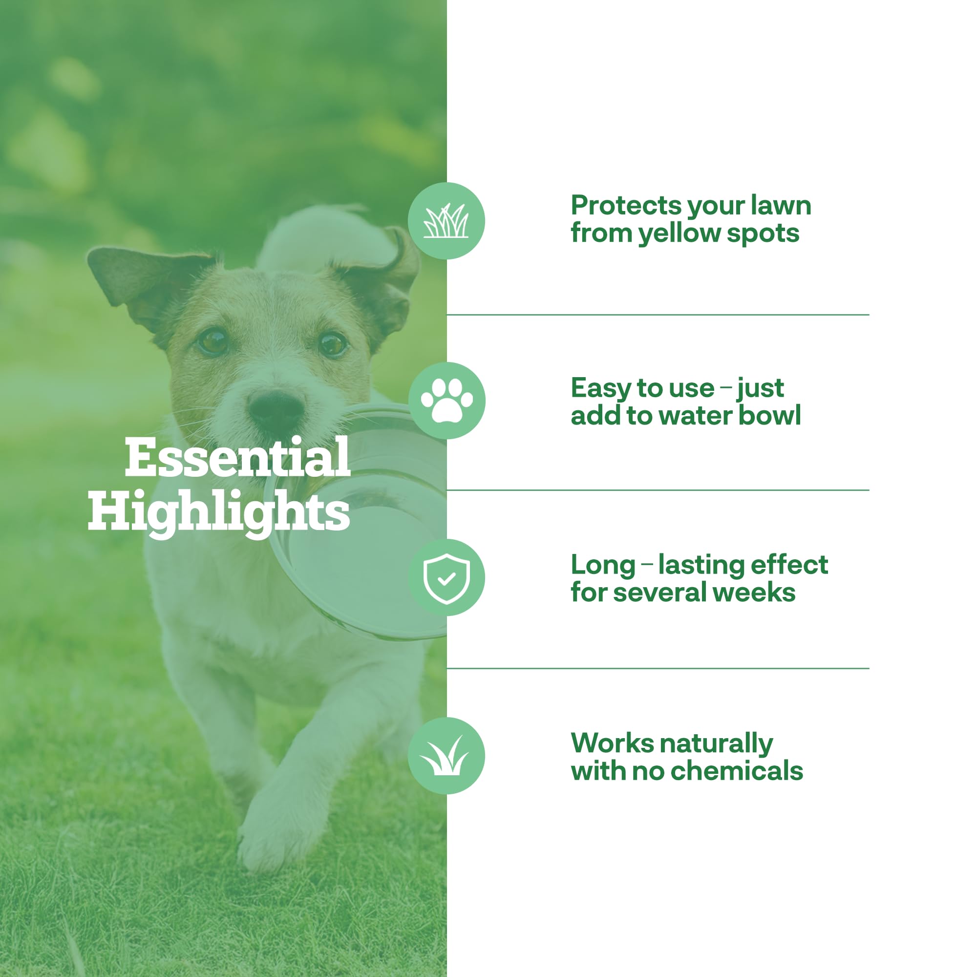 Dog Rocks For Urine Burning Grass - 200G Each - Natural Pet Rock To Help Maintain Green Lawn - Grass Savers For Dog Urine - 4 Mo