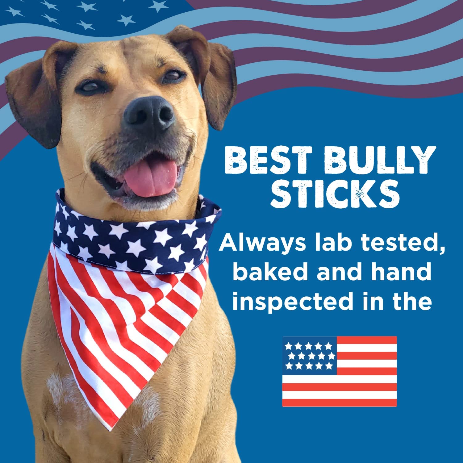 Best Bully Sticks Himalayan Yak Cheese for Dogs - Small 4 Count (Pack of 1) - Natural, No Lactose, Odor Free, Long-Lasting Snack