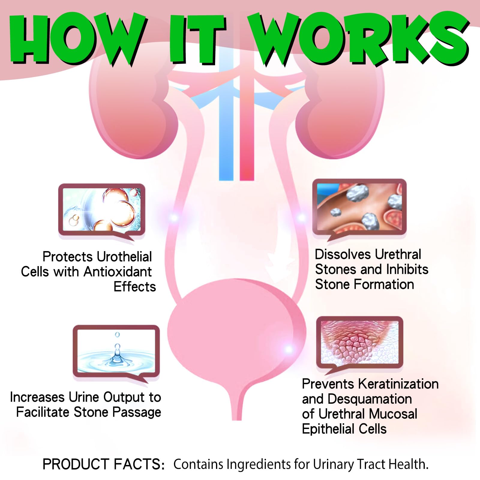 Cat Urinary Tract Infection Treatment, 60ML Cat UTI Supplement with Cranberry Cat Bladder Drops Support Keep Pet Renal Health &