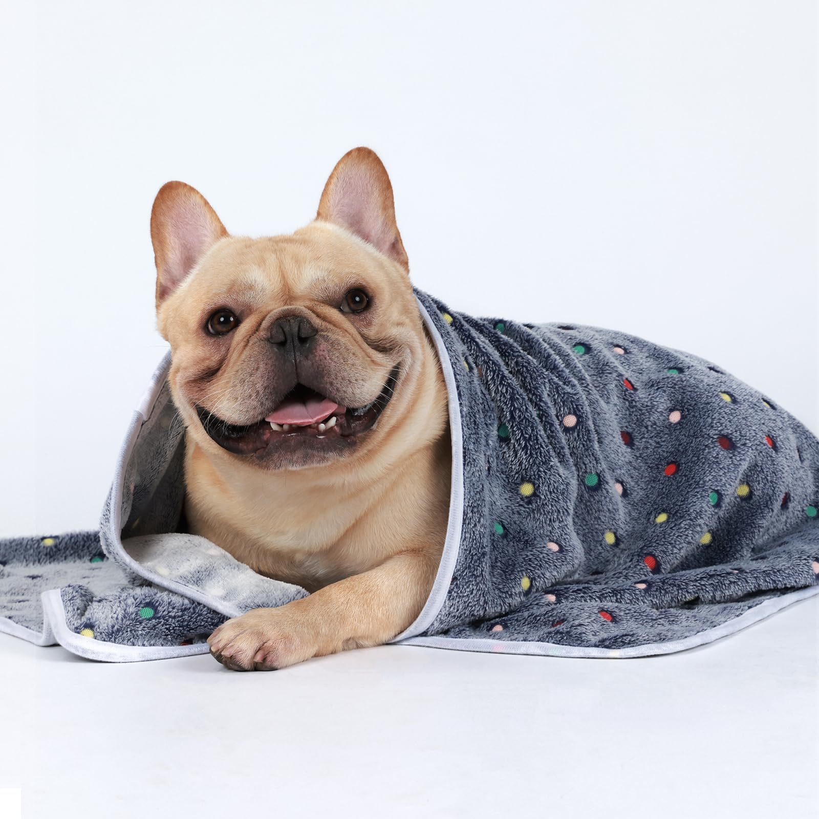 Luciphia 1 Pack 3 Blankets Super Soft Cute Dot Pattern Pet Blanket Flannel Throw For Dog Puppy Cat Large(41X31), Grey