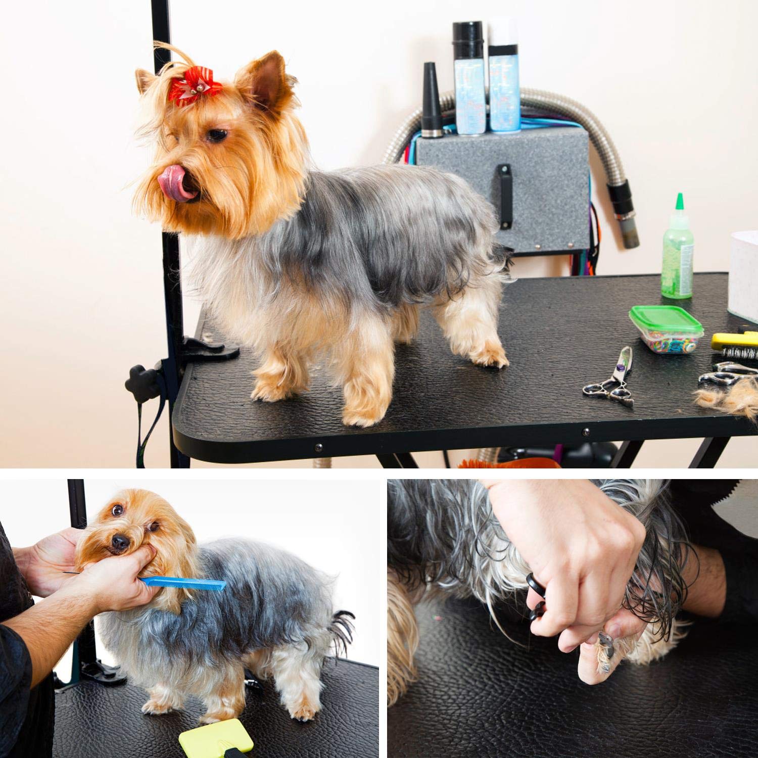 Costoffs Foldable Dog/Cat/Pet Grooming Table Trimming Table With Adjustable Arm Folding Legs&Waterproof Surface Maximum Capacity Up To 100Kg, Black