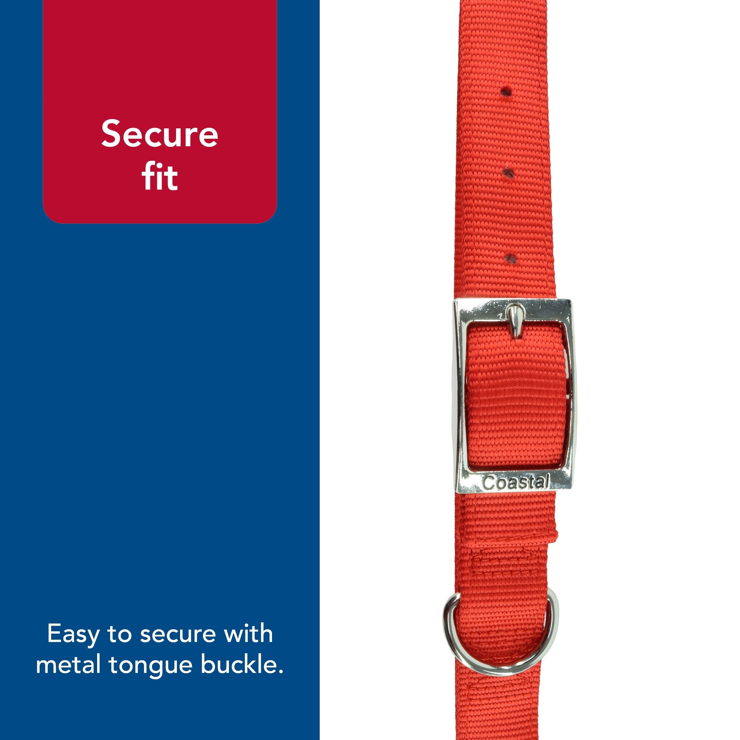 Coastal Pet - Double-Ply Dog Collar, Blue, 1'' x 22''