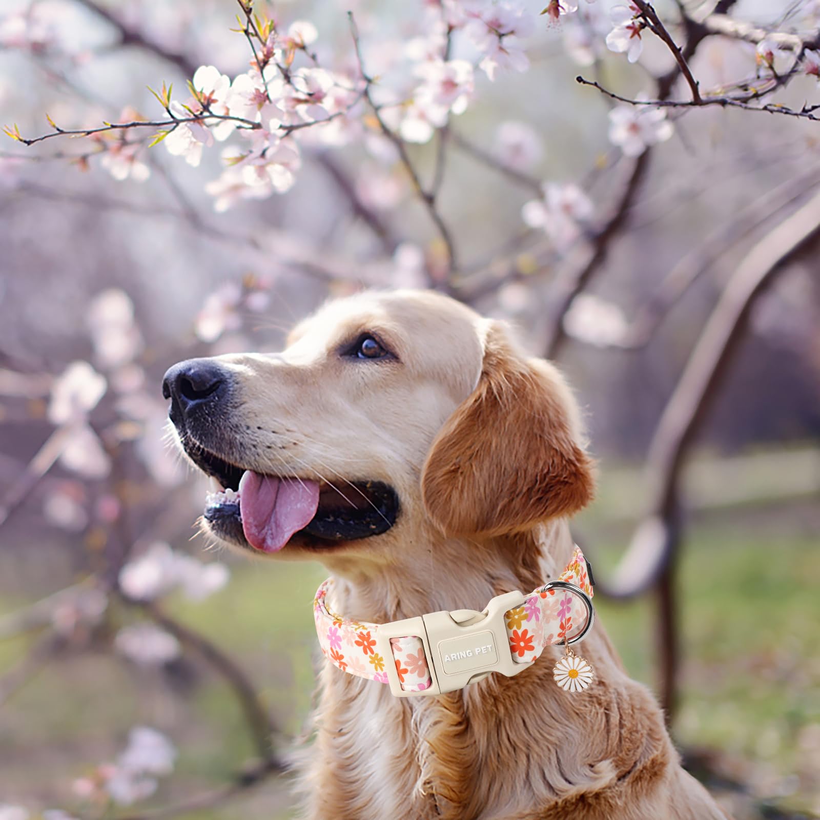 Aring Pet Summer Dog Collar-Cute Dog Collars For Small Dogs, Adjustable Cotton Sunflower Pet Collars Puppy Collar For Small Medi