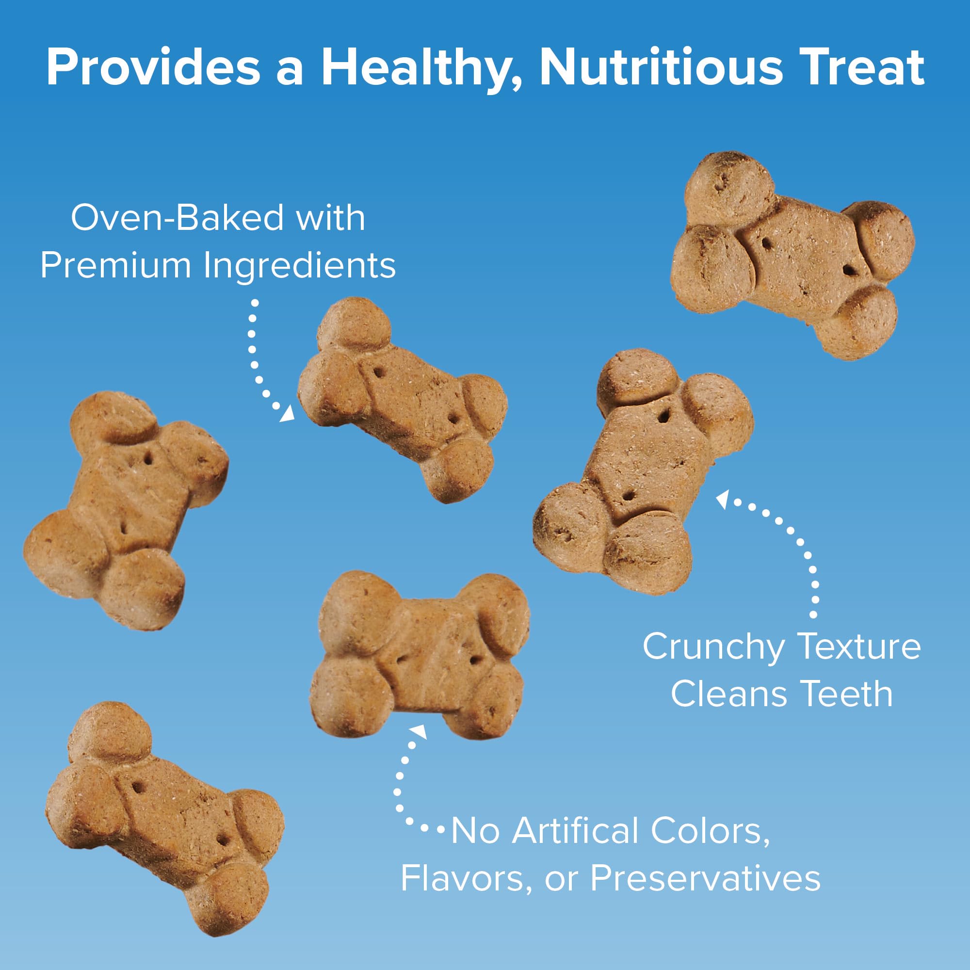 Blue Seal Kent Entrust Crunchers - Small Dog Treats, Original Recipe - Crunchy Oven Baked Biscuits with Premium Ingredients, Hea