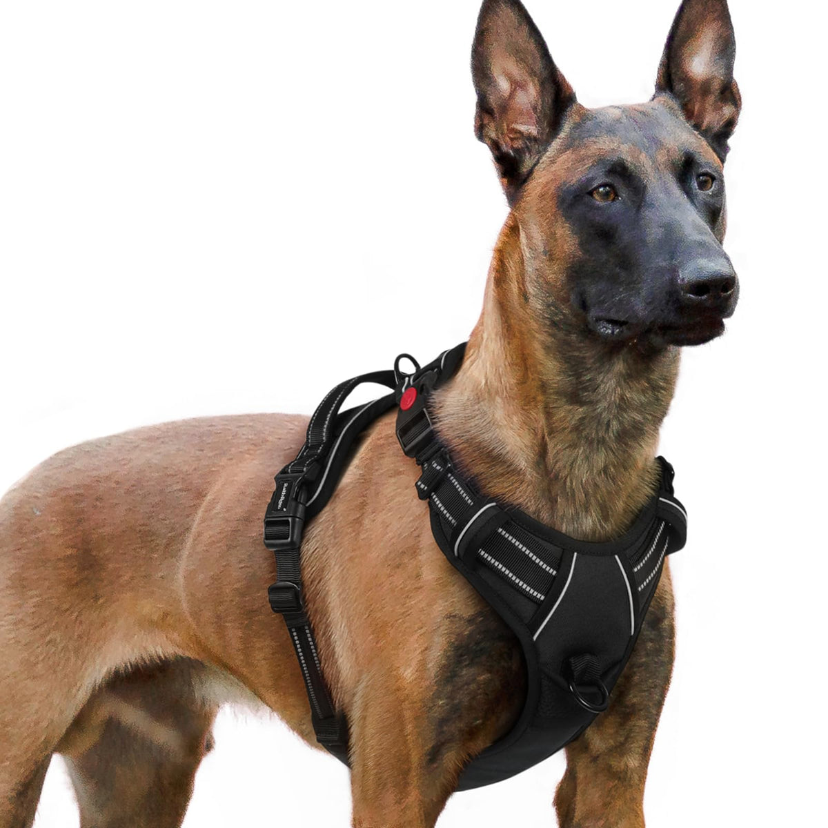 Rabbitgoo Dog Harness For Large, No Pull Pet Harness With 3 Buckles, Adjustable Soft Padded Pooch Vest With Instant Control Handle, Easy Walking Reflective Pet Vest For Extra Large Dogs, Black, Xl