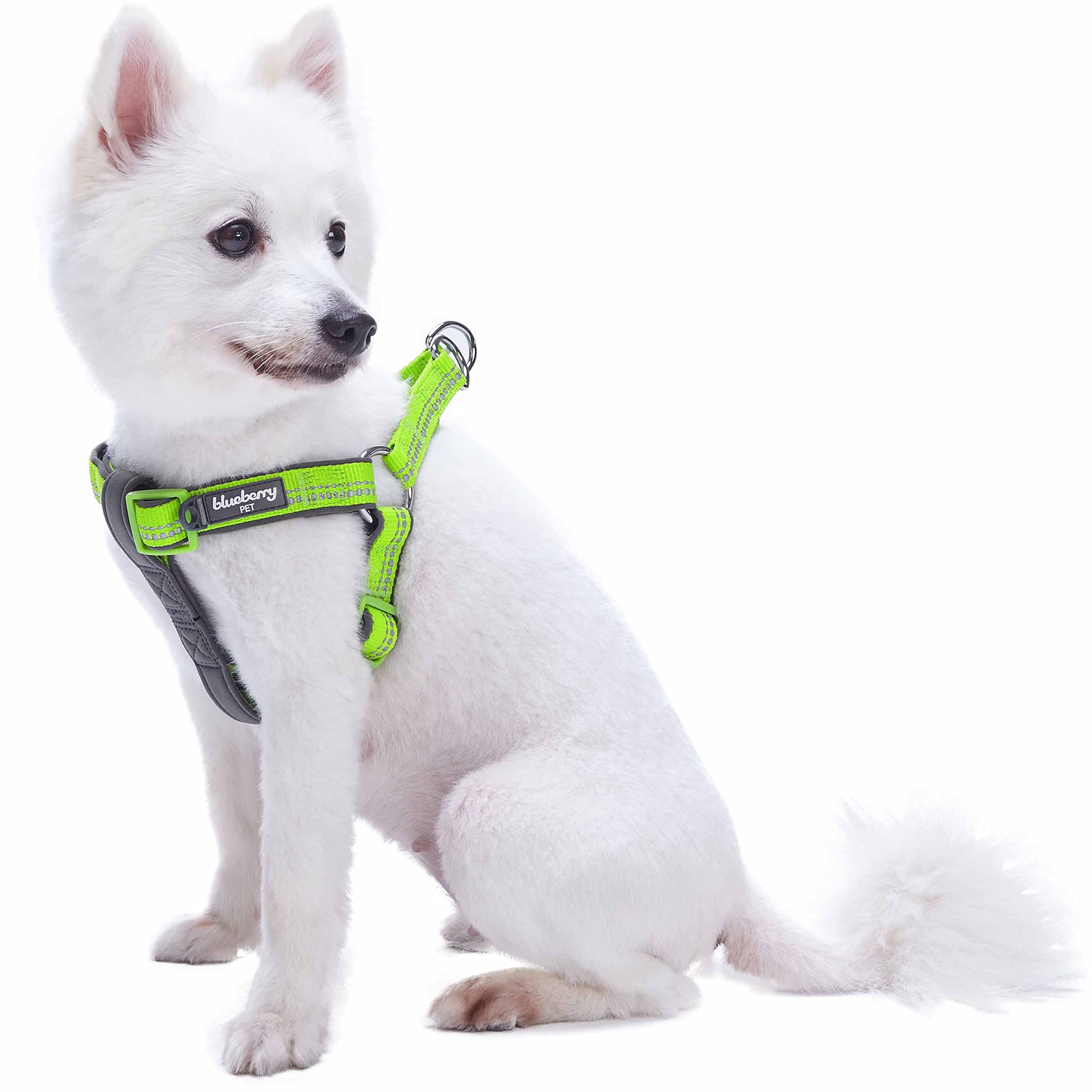 Blueberry Pet Soft & Comfy 3M Reflective Step-In Pastel Color Padded Dog Harness, Chest Girth 15.5' - 19.5', Green Flash, Small, Adjustable Harnesses For Dogs