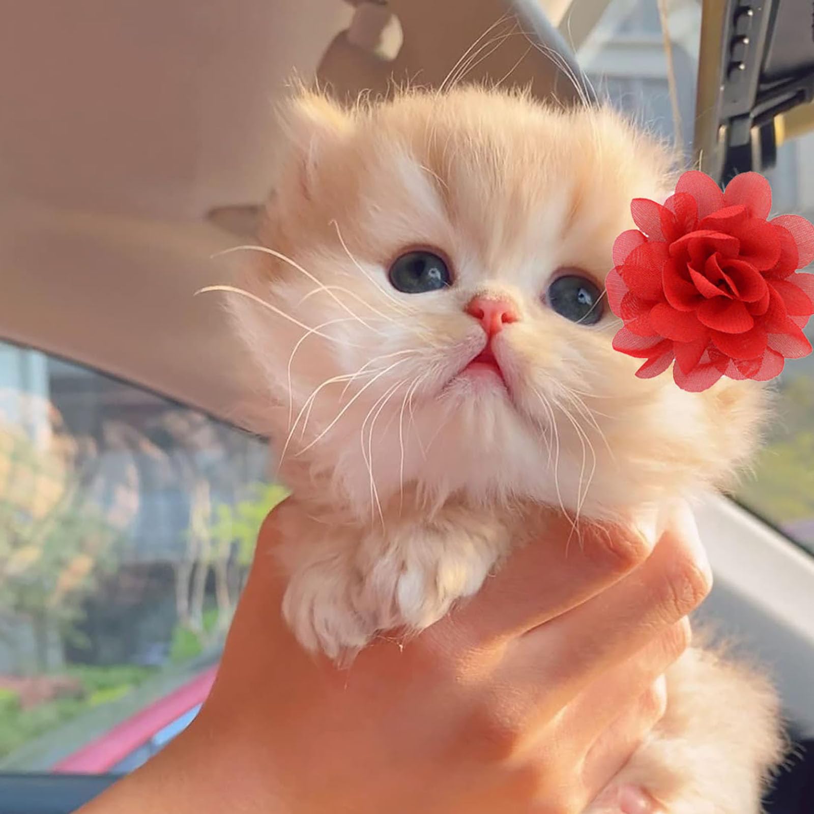 NUOSYI 52PCS Flower Bows Alligator Hair Clips for Cat Dogs Puppy Birds Ducks Horse Chicken Pets Barrettes Outdoor Party Birthday