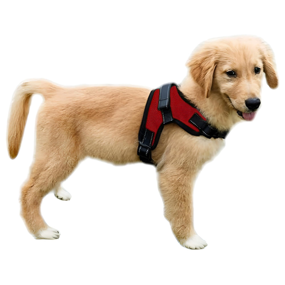 Copatchy Dog Harness Small Sized Dogs - All Weather Mesh Overhead Adjustable No Pull Vest Puppy Reflective Harness With Handle For Extra Small And Small Dogs By Copatchy - Harness (Red) X-Small