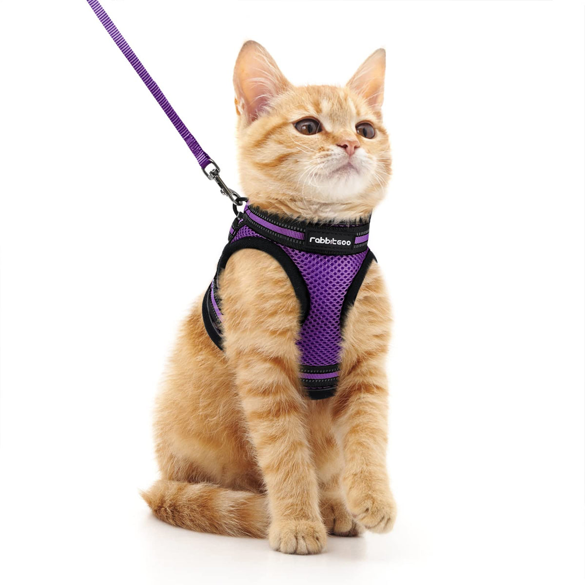 Rabbitgoo Cat Harness And Leash Set For Walking Escape Proof, Adjustable Soft Kittens Vest With Reflective Strip For Cats, Comfortable Outdoor Vest, Purple, M