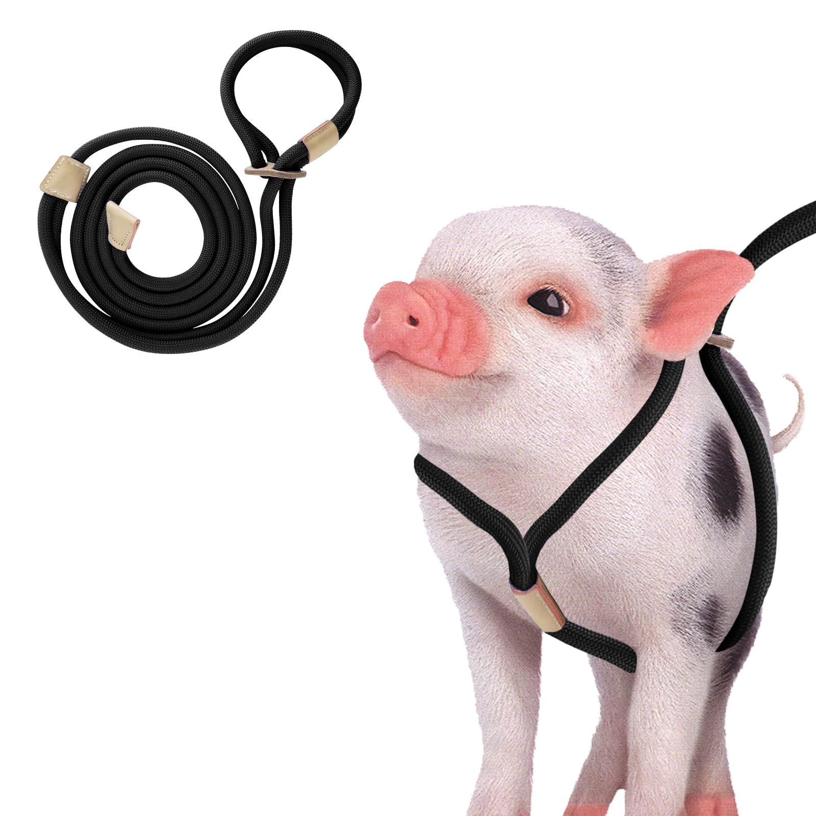 Mini Pig Supplies, Pig Harness, Adjustable 8 Feet Leash For Small To Medium Pet Pig, Pet Pig Supplies