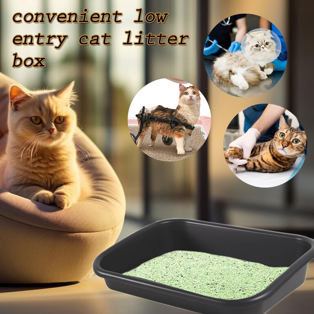3 Pcs Low Entry Senior Cat Litter Box,Extra Large Size Pet Litter Box Low Entry Open Top Cat Litter Box For Kitten Frail Handica