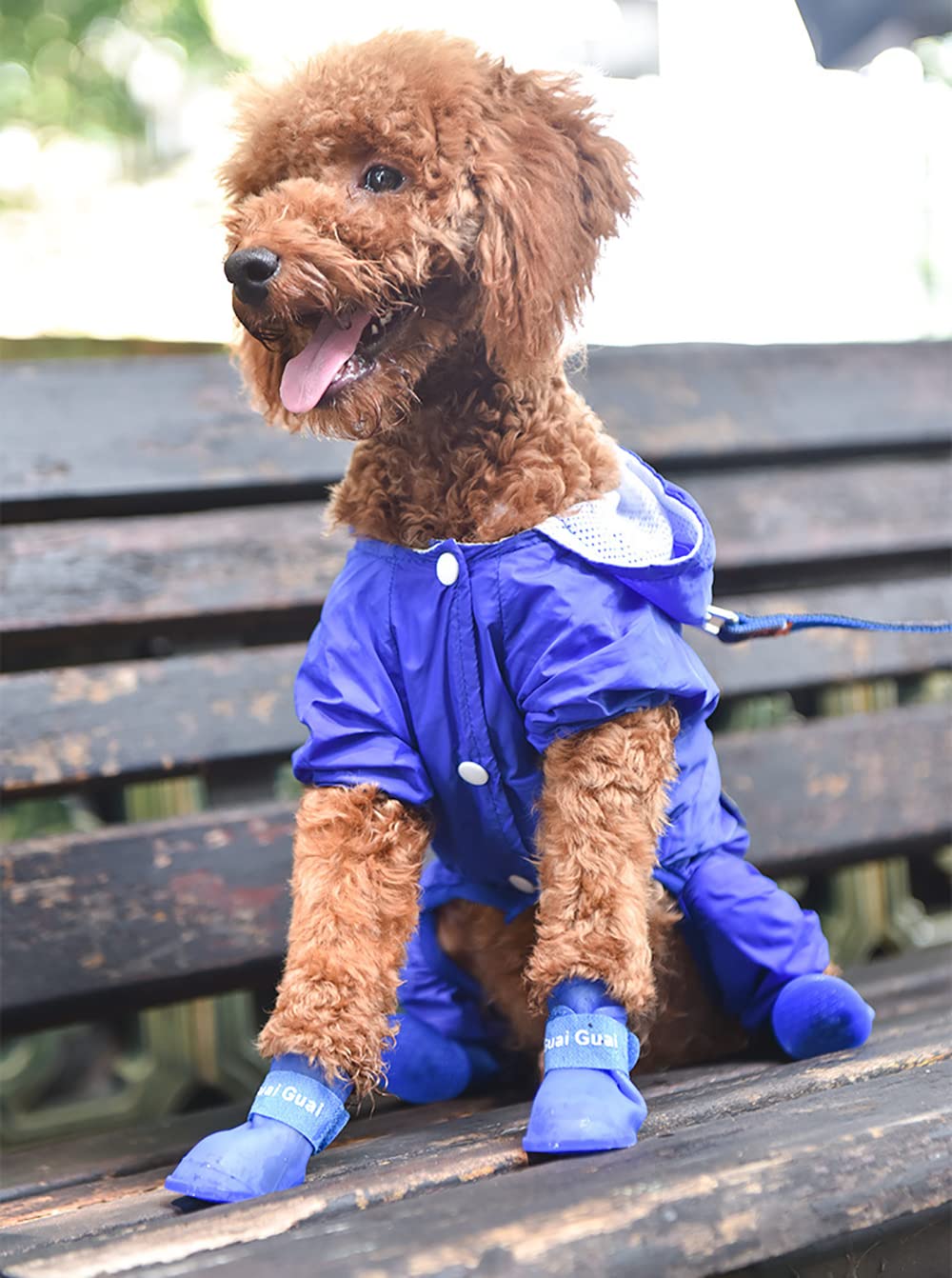 Cdycam Puppy Dogs Candy Colors Anti-Slip Waterproof Rubber Rain Shoes Boots Paws Cover (Blue, Xx-Large)