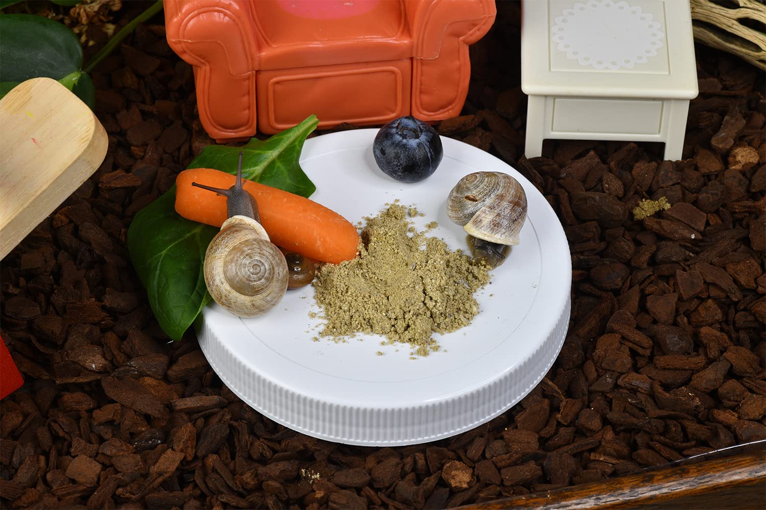 Snout & Shell Vegetable Flavored Pet Land Snail Food - Tasty High-Protein, Calcium Blend for Snails, Easy Addition to Your Garde