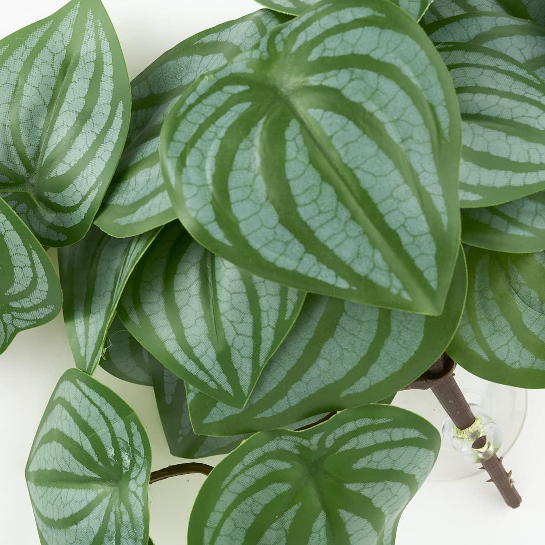 WOLEDOE Artificial Hanging Plants for Terrarium - Fake Calathea Orbifolia with Suction Cup, Perfect for Reptile & Amphibian Habitats