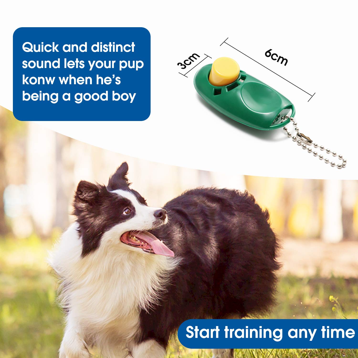 Baapet 15 Ft 20 Ft 30 Ft 50 Ft 100 Ft Long Dog Training Leash For Dog Training, Play, Camping, Or Backyard Lead With Training Clickers For Small, Medium And Large Dogs Or Cats (15 Feet, Darkgreen)