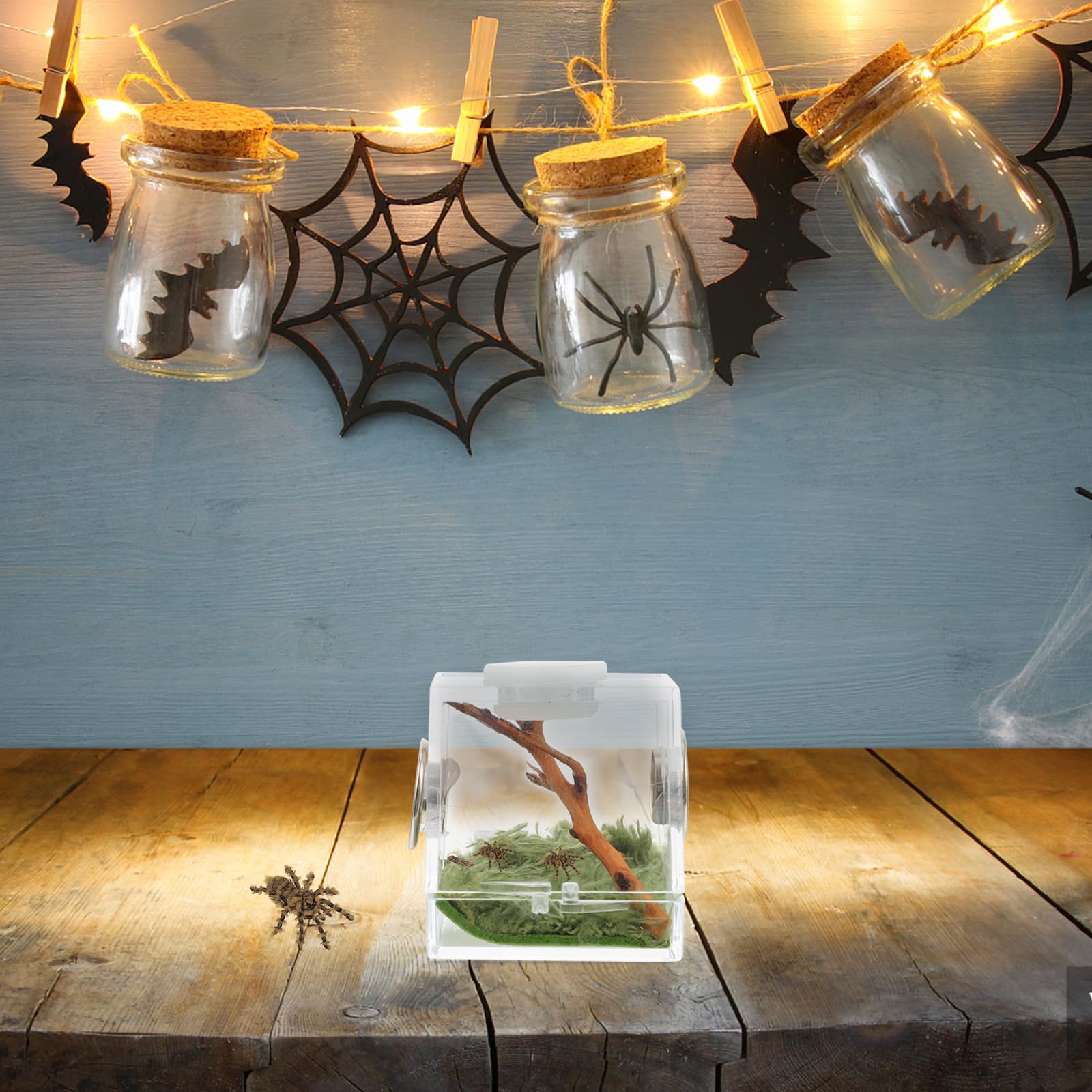 Mipcase 2Pcs Jumping Spider Enclosure, Acrylic Spider Terrarium Transparent Jumping Spider Habitat For Jumping Spider Accessorie