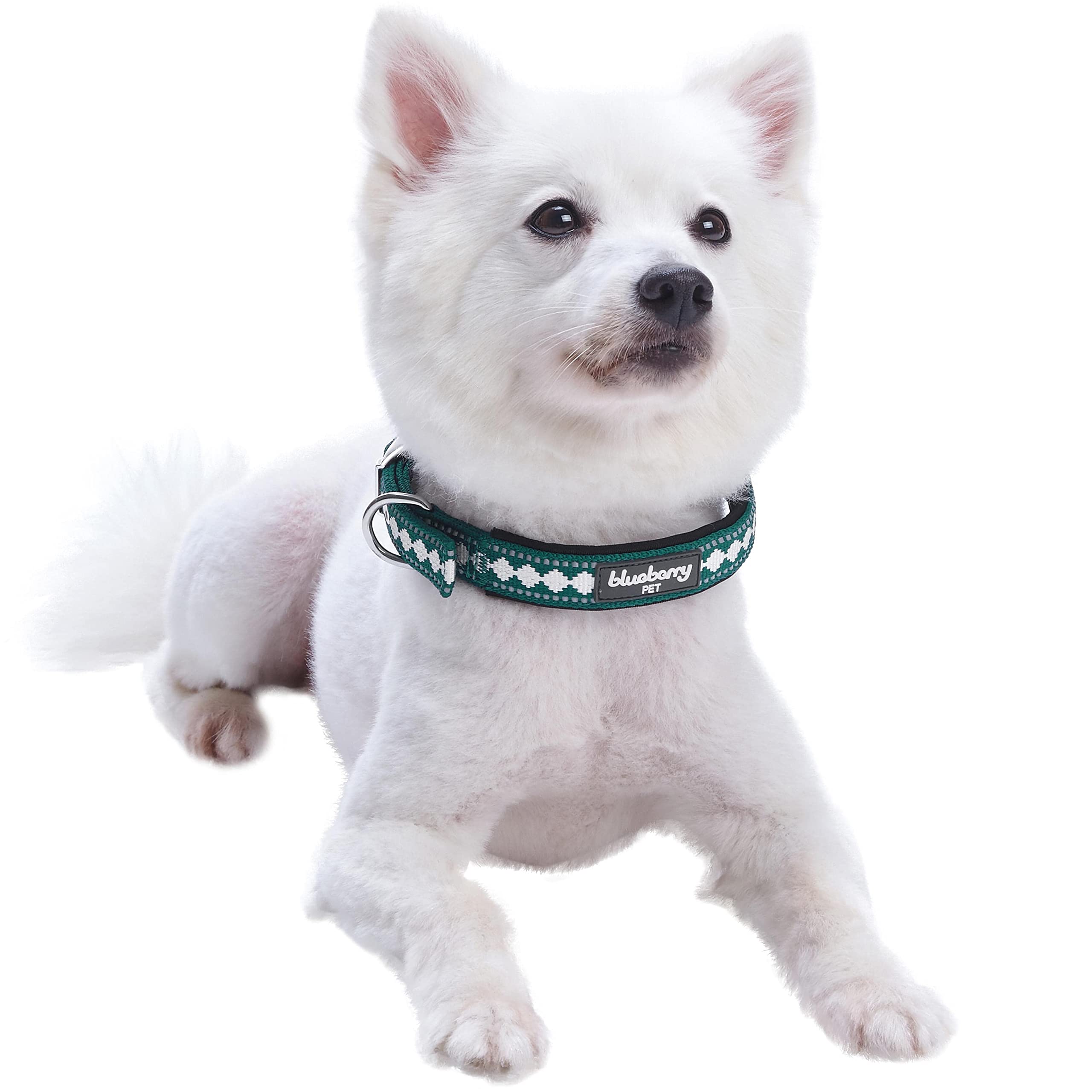 Blueberry Pet 3M Reflective Neck 9-12.5'' Jacquard Neoprene Padded Dog Collar With Metal Buckle - Teal Blue, For Small Breed