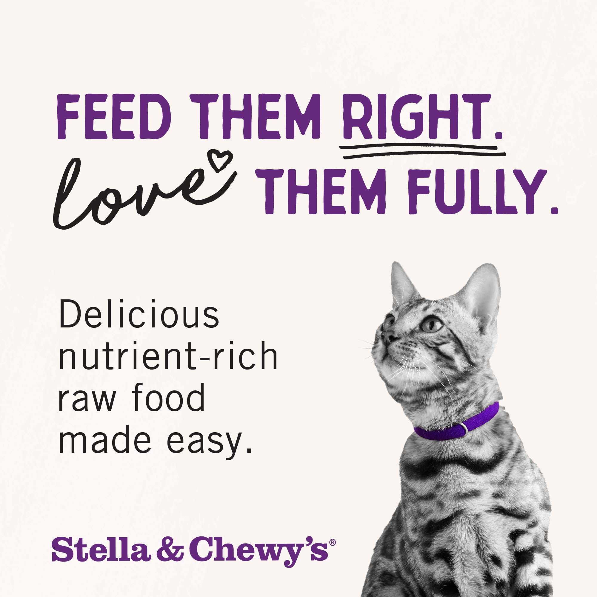 Stella & Chewys Freeze-Dried Raw Sea-Licious Salmon & Cod Dinner Morsels Grain-Free Cat Food - 8 oz bag, nn/a