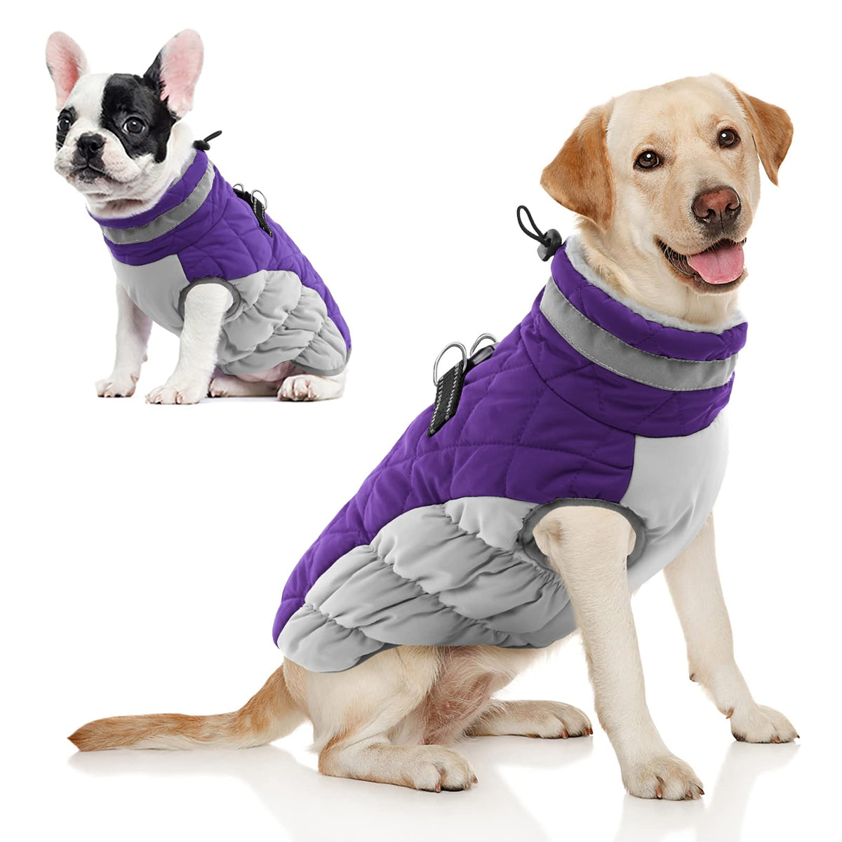 Aofitee Winter Dog Coat Warm Fleece Dog Jacket For Cold Weather, Reflective Zip Up Puppy Dog Sport Vest With Leash Rings, Outdoor Pet Sweater Apparel Clothes For Small Medium Large Dogs, Purple Xs