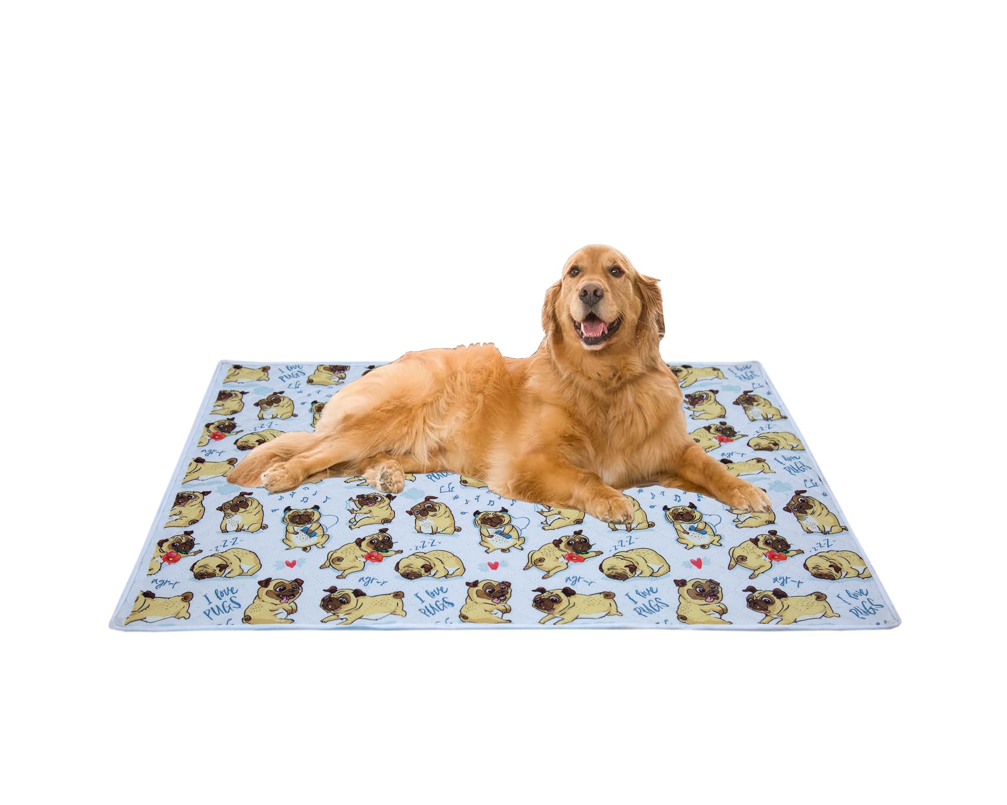 Aazeem Soft Light Weight Mat For Dogs, Cats & Pets, Skin Friendly Mat| Floormat | Pet Area Carpet | AntiSpill 40 X 53 Inches |W