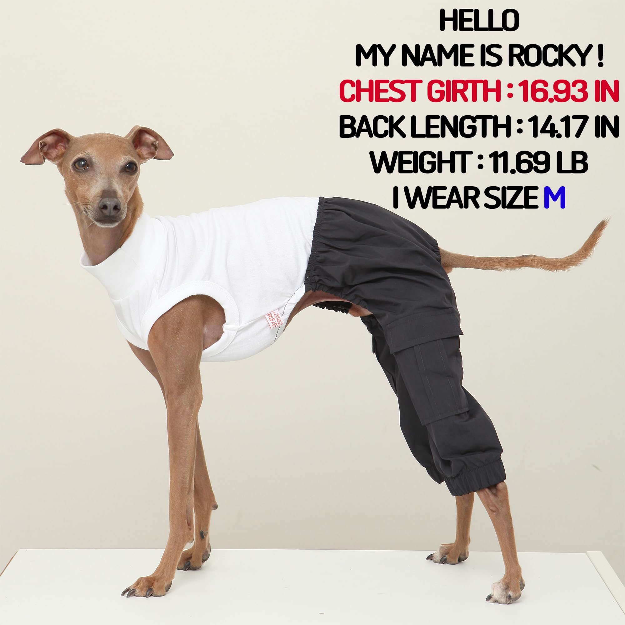 D Doggy Star Italian Greyhound Clothes Cargo Pants Onesie Outfit Whippet For Dog Coat (L,Navy Cargo)