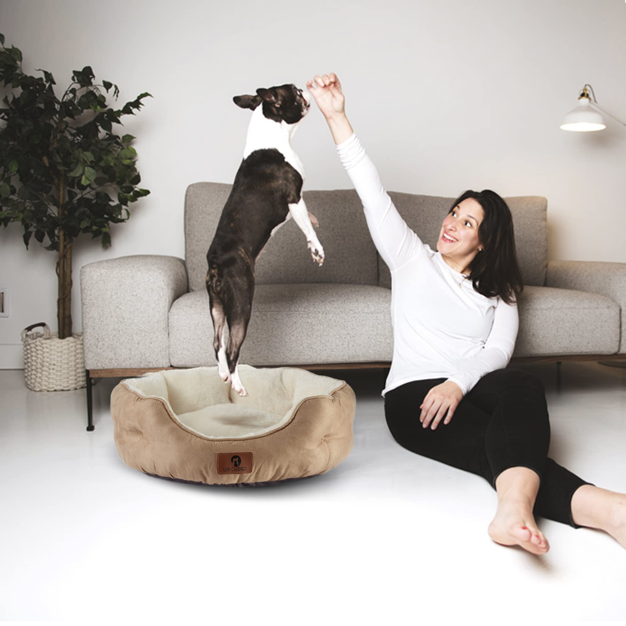 Asvin Medium Dog Bed For Medium Dogs, Large Cat Beds For Indoor Cats, Pet Bed For Puppy And Kitty, Extra Soft & Machine Washable With Anti-Slip & Water-Resistant Oxford Bottom, Light Brown, 25 Inches