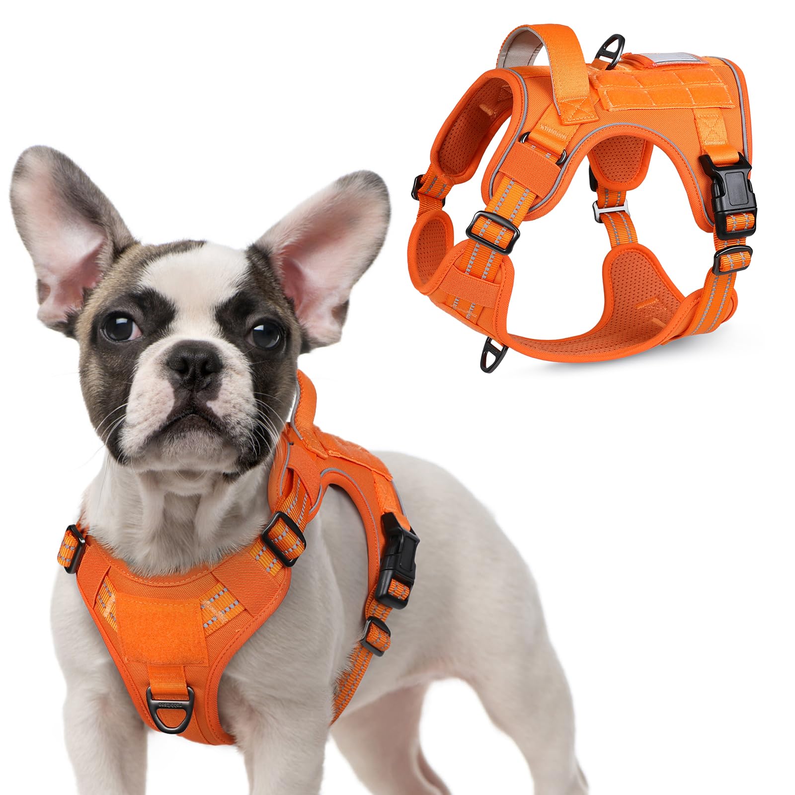 Rabbitgoo Tactical Dog Harness For Small Dogs, No Pull Military Service Vest With Handle & Molle, Easy Control For Training Walk