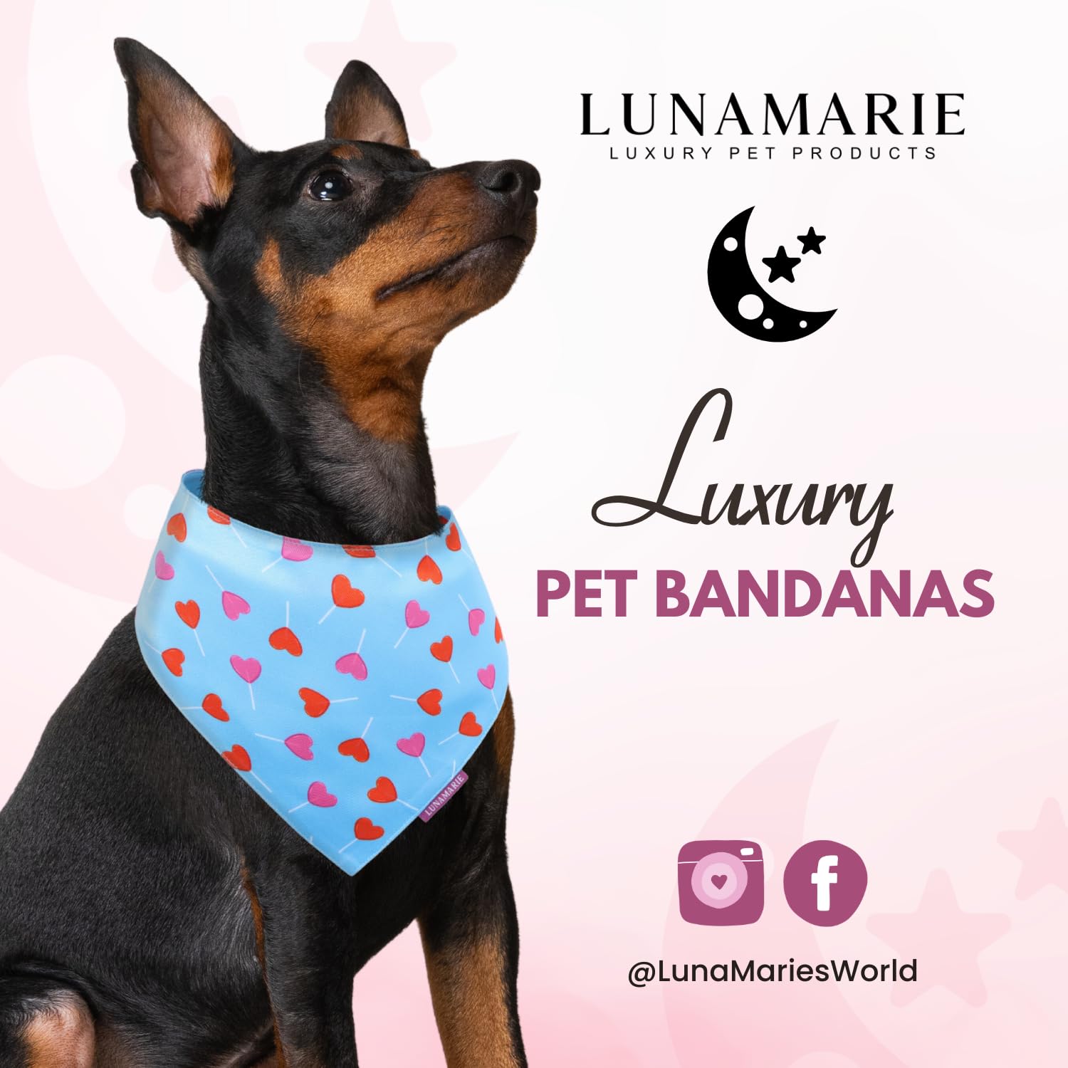 LunaMarie - Luxury Pet Birthday Bandanas -Premium & Silky Poly Fabric | 100% Handmade | Custom Shape Dual Layered (LoviePop, Lar