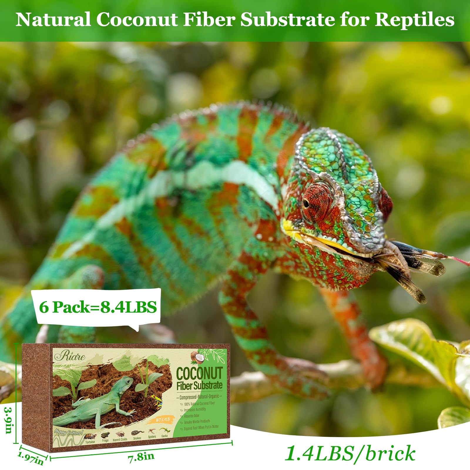Riare 6 Pack Natural Coconut Fiber Substrate For Reptile- Premium Compressed Coconut Husk Terrarium Bedding For Reptile, Tortois